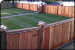 Custom Fences